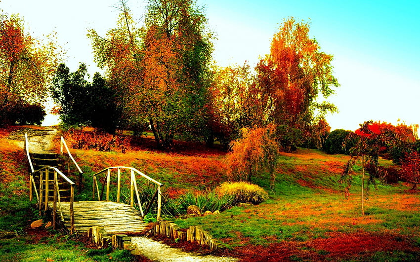 JESIENNY PARK, jesień, schody, wzgórze, park Tapeta HD