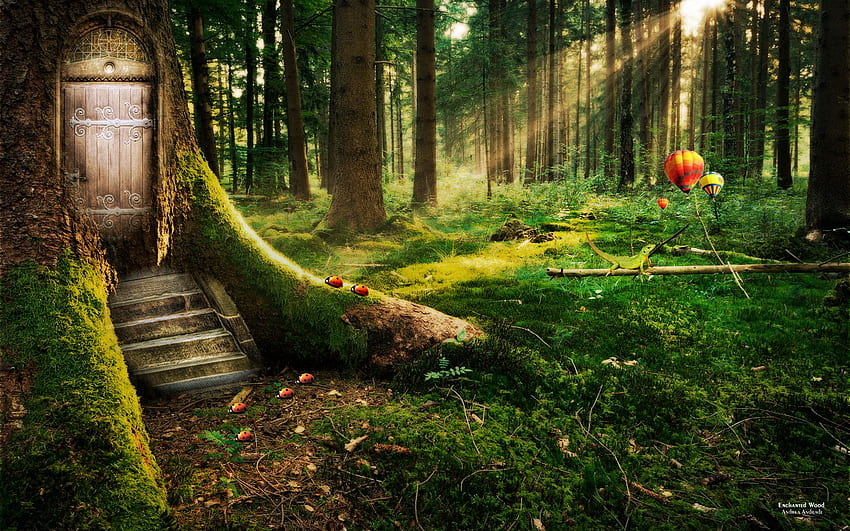 Papéis de Parede Floresta mágica, imagem de arte 2880x1800 HD imagem