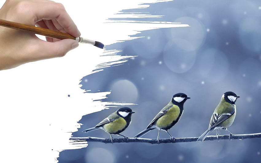 Птици, изкуство, сняг, ръка, рисунка, клон, четка, синигер HD тапет