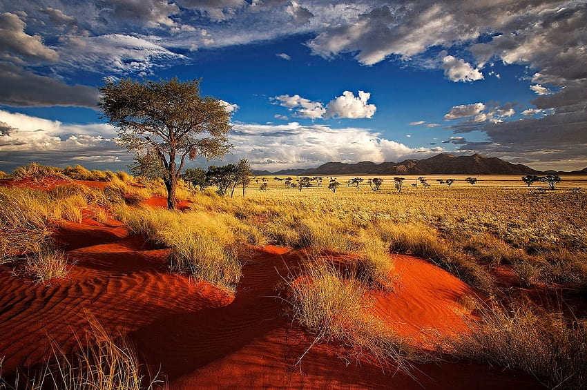 The Red Desert, desert, south africa, namibia, tuareg HD wallpaper