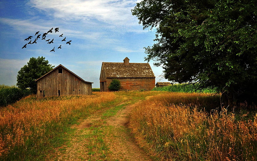 Farmhouse Background. Beautiful , and Naruto Background HD wallpaper