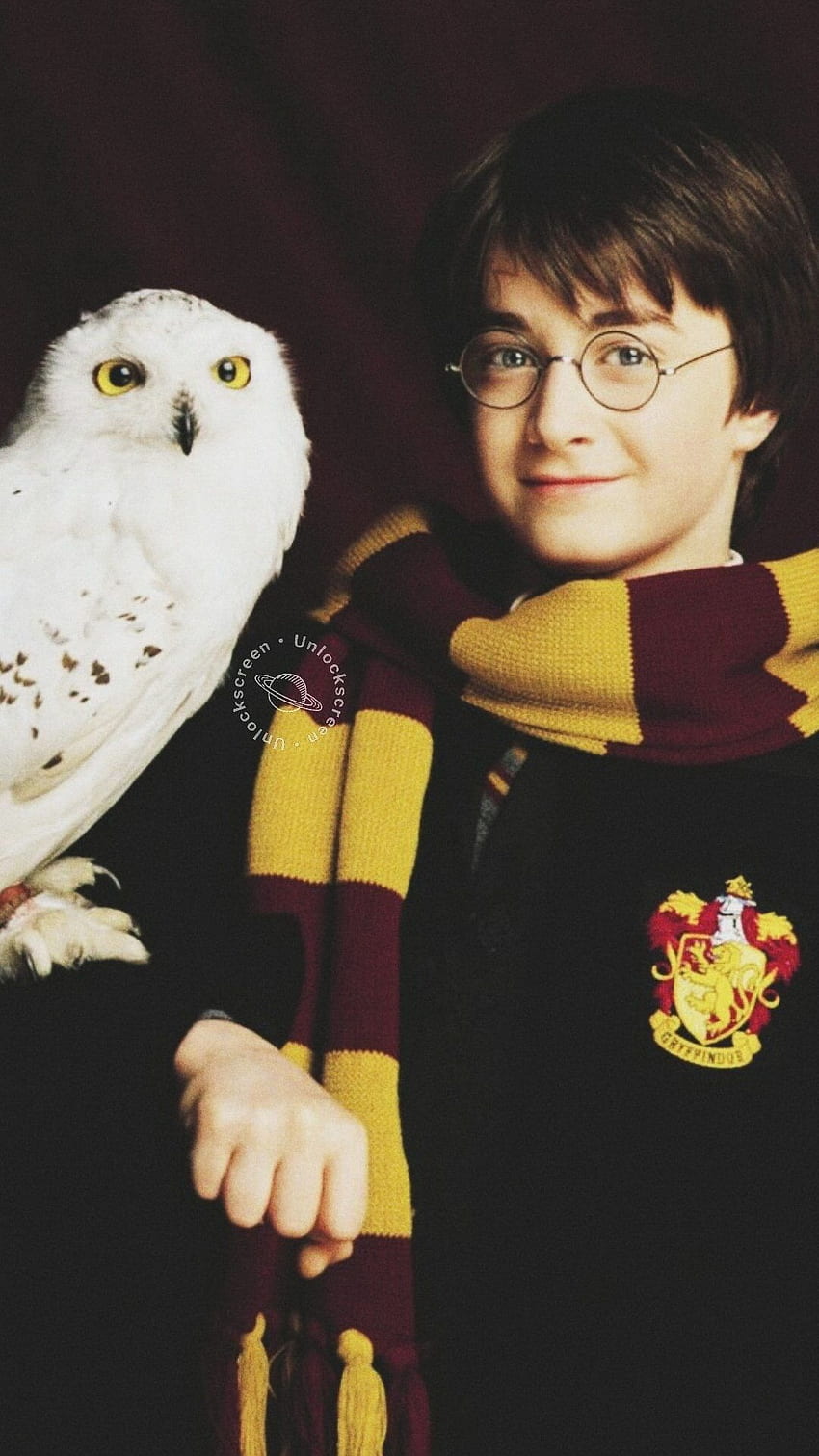 Harry Potter With Bird, harry potter, with bird HD phone wallpaper | Pxfuel