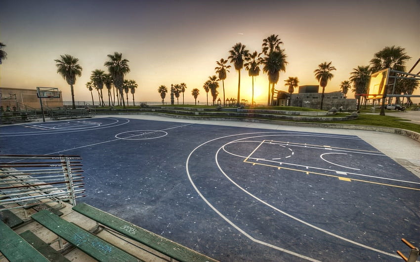 Naturaleza, Baloncesto, Palmas, Marcado, Patio de recreo, Andén, Tarde, California, Los Ángeles fondo de pantalla