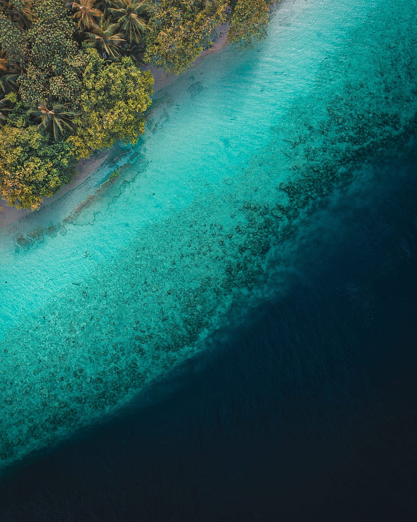 Tropical sea, beach, blue-green, Maldives HD phone wallpaper