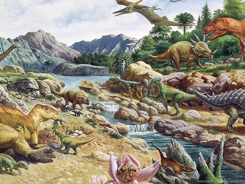 Wall Dinosaur Background, Dinosaur iPad HD wallpaper