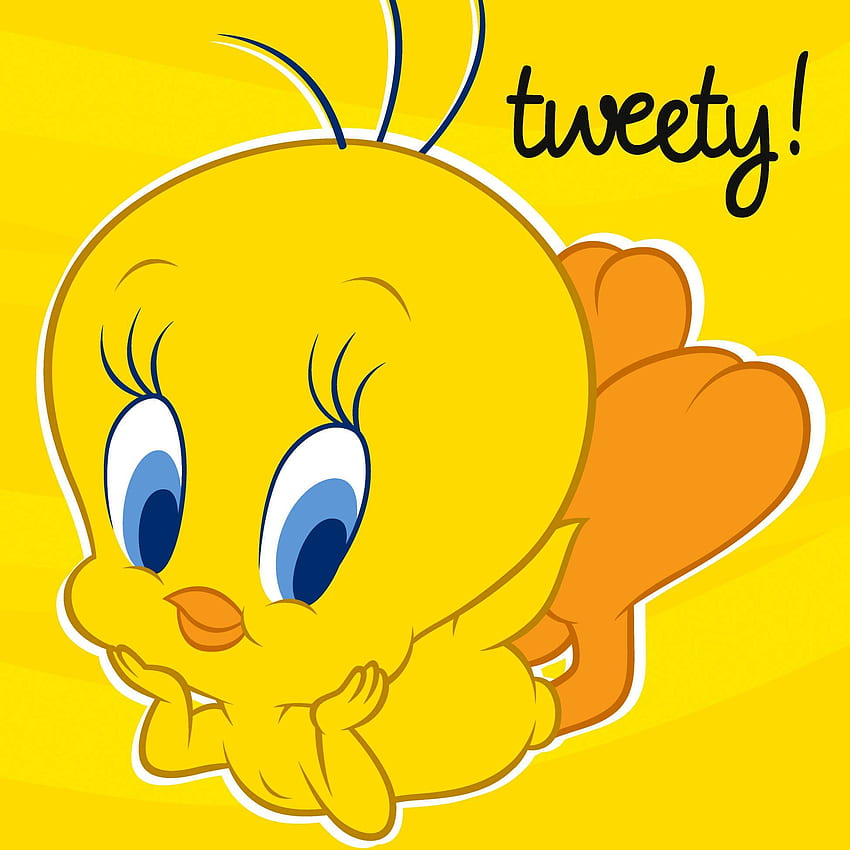 Drawing Tweety Bird Cartoone Colour Drawing [900x1320] for your , Mobile &  Tablet HD phone wallpaper | Pxfuel