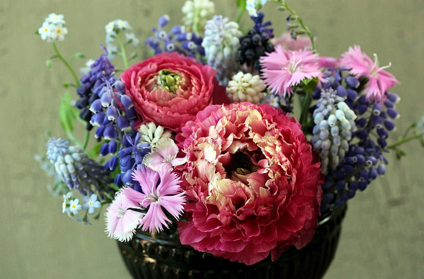 Flowers, Carnations, Bouquet, Ranunculus, Ranunkulus, Forget-Me-Nots, Muskari, Muscari HD wallpaper