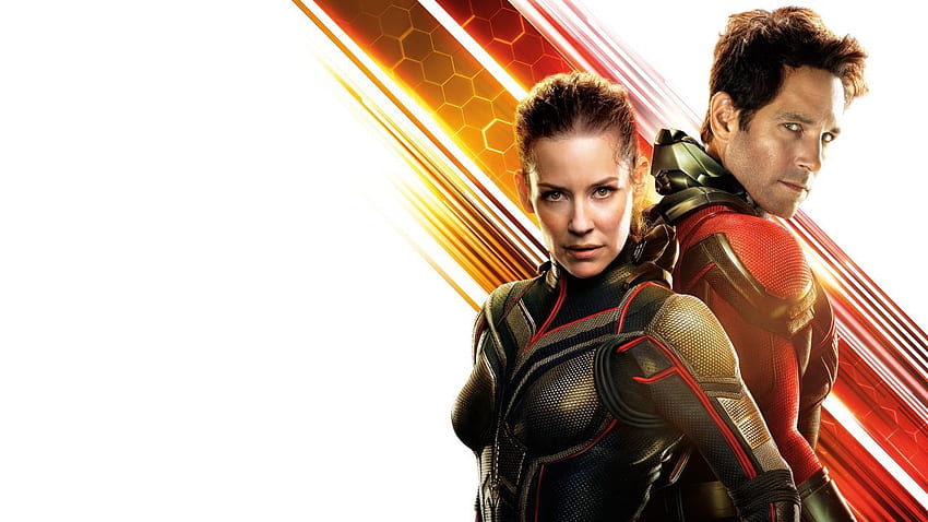 Ant Man And The Wasp, Evangeline Lilly, Paul Rudd, Ant Man And Wasp HD wallpaper