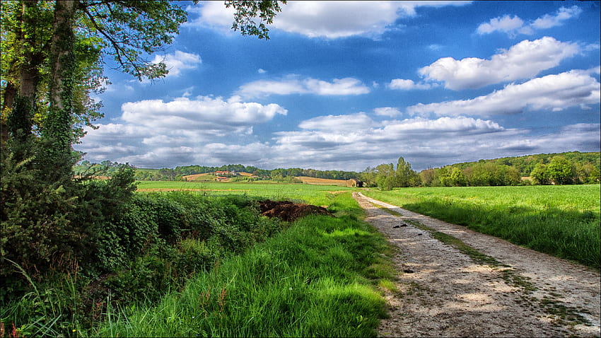 Landscape, Nature, Sky, Road, Field HD wallpaper