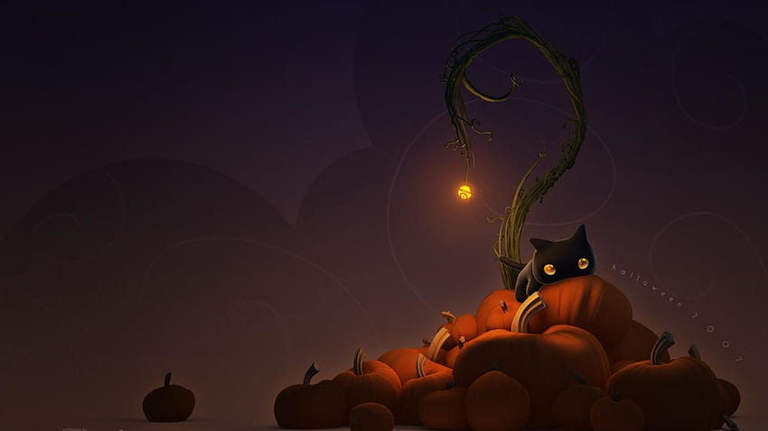 Lindo gato Halloween, hermoso gato bruja fondo de pantalla