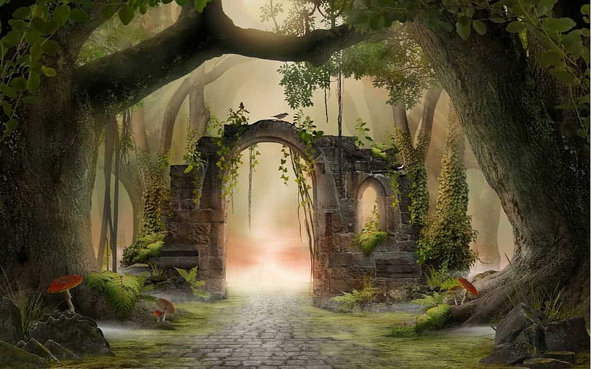 Welcome to my Fantasy, back, drop, forest, fantasy HD wallpaper