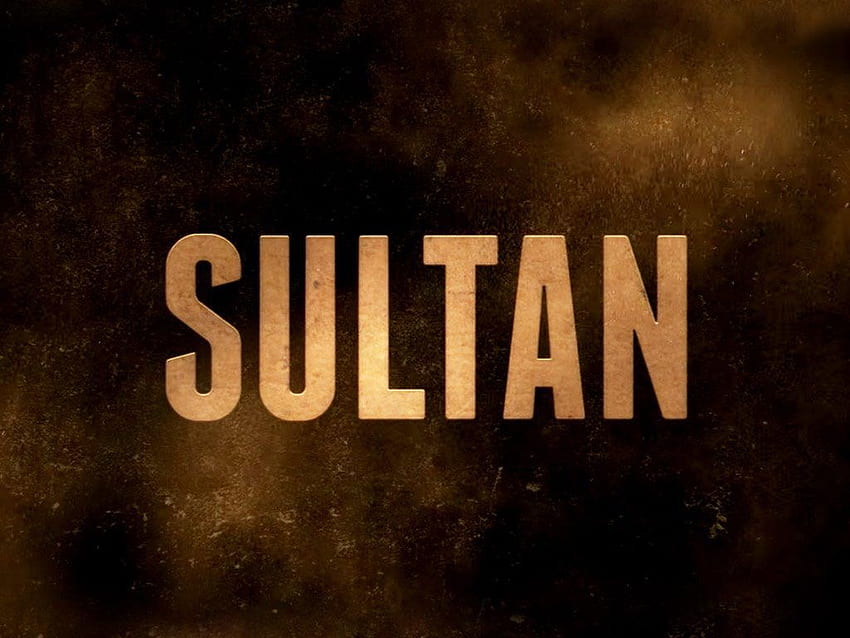 HD wallpaper: Sultan Salman Khan First Look, Salman Khan, Movies, Bollywood  Movies | Wallpaper Flare