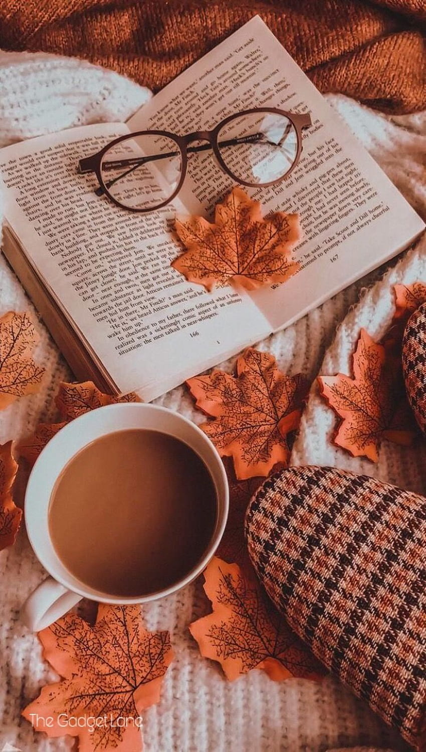 Coffee. Tea. . Fall , Autumn graphy, Autumn aesthetic, Tea and Book iPhone HD phone wallpaper