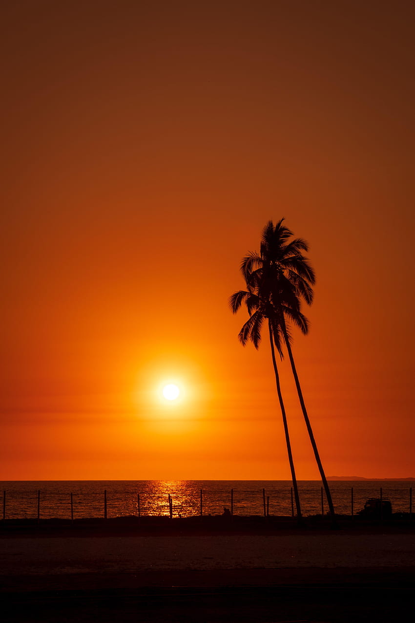 Landscape, Sunset, Sea, Sun, Palms, Dark HD phone wallpaper | Pxfuel