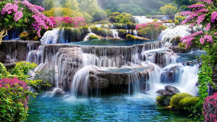 Tropical Waterfall in Thailand, river, cascades, flowers, rocks, trees HD wallpaper
