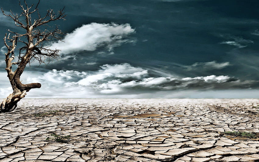 Drought . Drought , Drought Background and Drought Tolerant Garden HD wallpaper