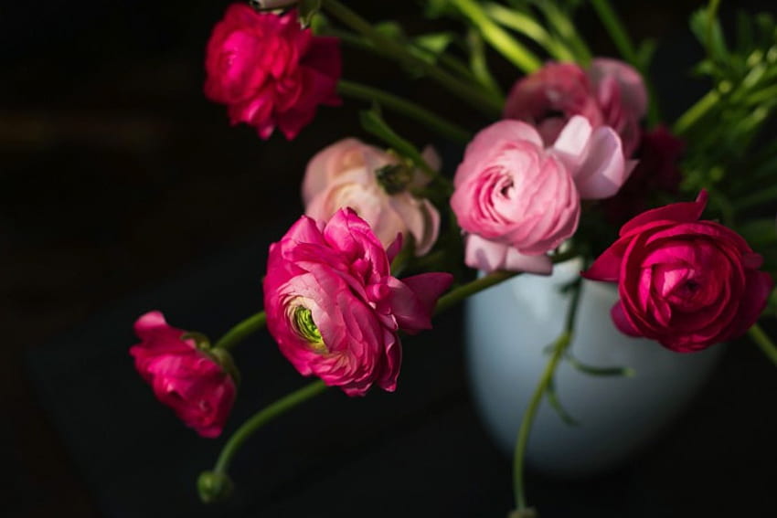 The time has come again ..., still life, pink, vase, beautiful, flowers HD wallpaper