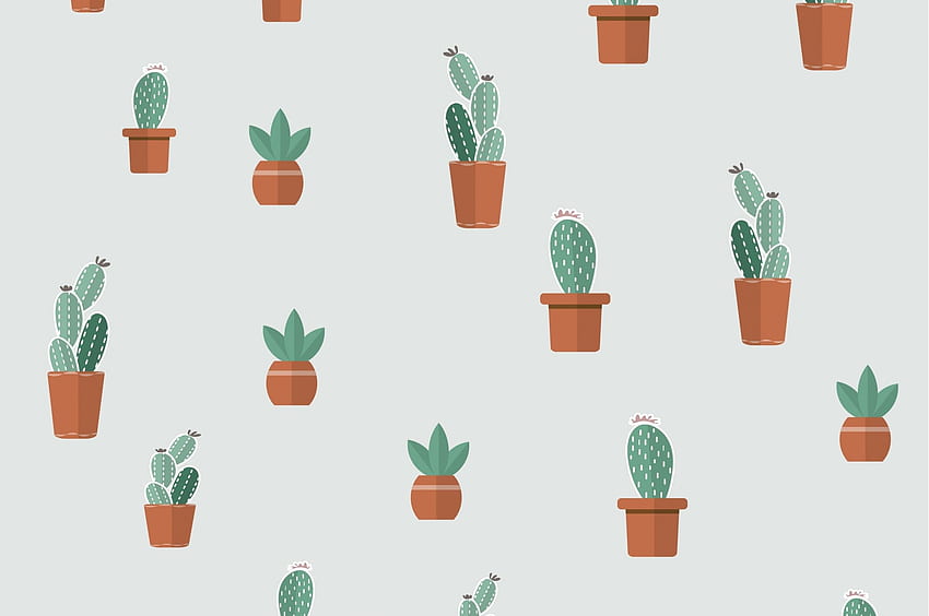 Cactus, Plants, Pot for Chromebook Pixel - Maiden HD wallpaper | Pxfuel