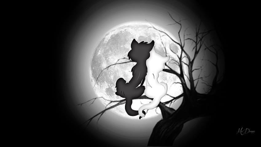 Moon Watch, full moon, kitties, cats, Firefox Persona theme, tree ...