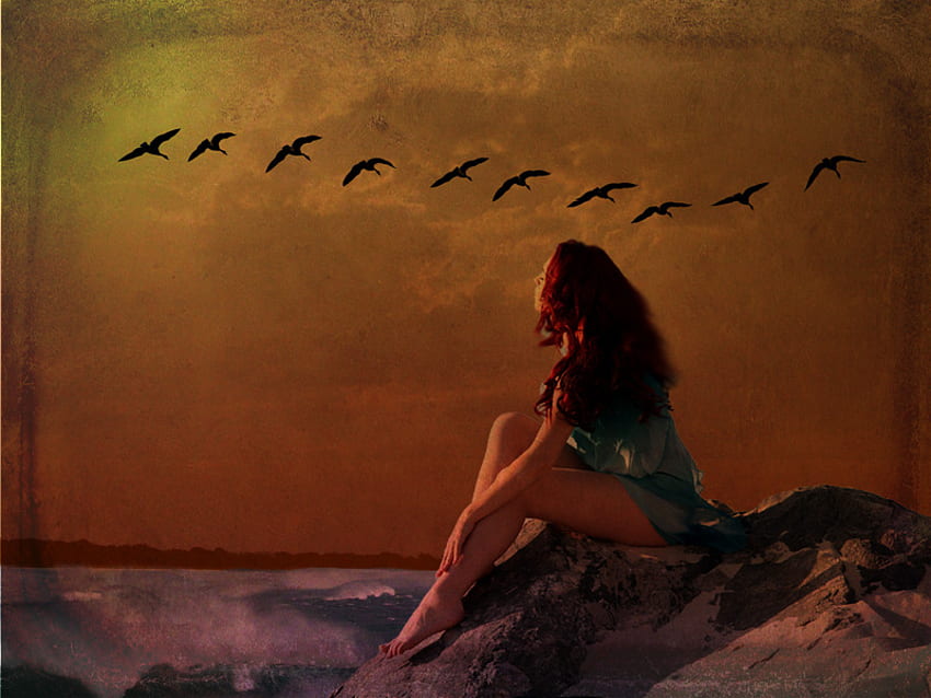 Sunset Beach, birds, sky, girl, sunset, beach HD wallpaper