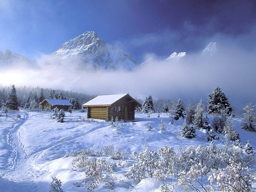 Winter time, mist, winter, snow, nature, ice HD wallpaper