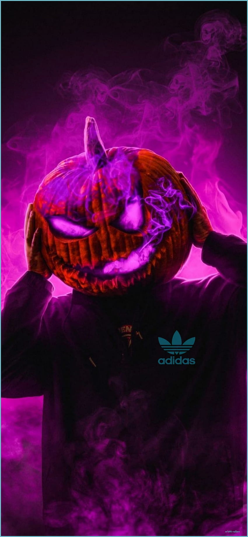 Adidas New Of Adidas ( 12 Pics ) - Cool Adidas, Purple Adidas HD phone wallpaper