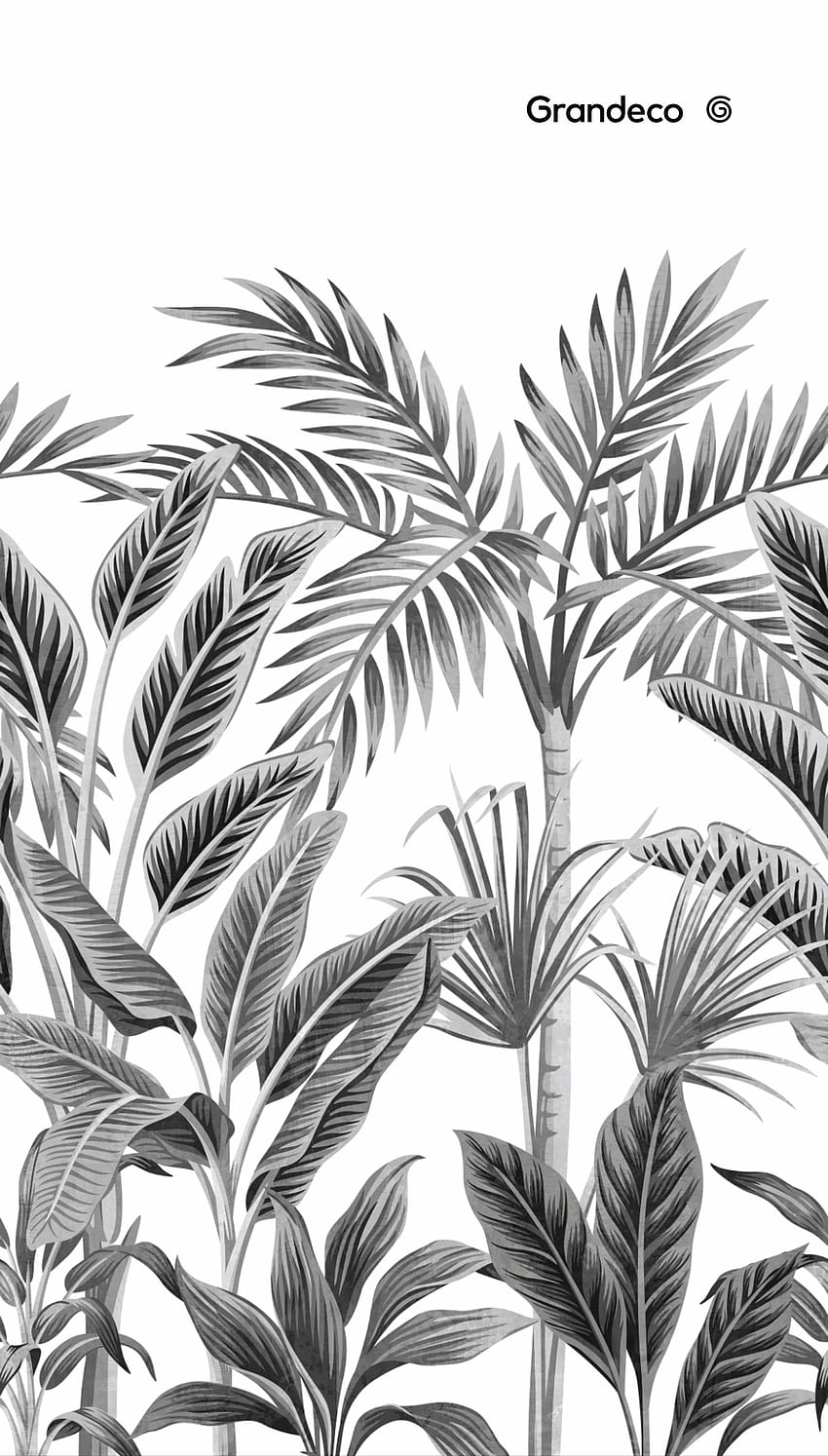 Digital with a tropical leaf print in 2020. Tropical , Wall murals, Mural, Black and White Tropical HD phone wallpaper