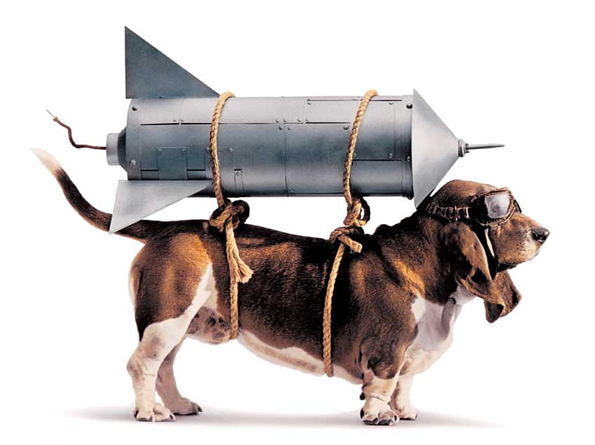 Fly Dog, dog, rocket with dog HD wallpaper
