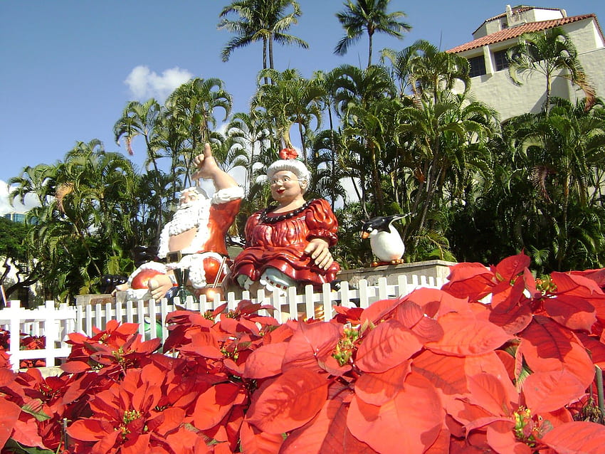 Gail M Baugniet - Author : CHRISTMAS IN HONOLULU, HAWAII, Hawaiian Christmas HD wallpaper