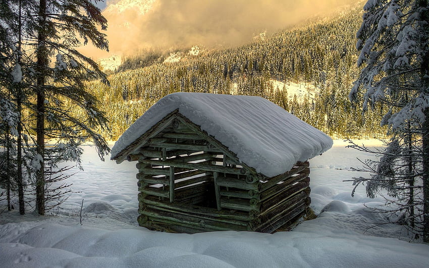 Зима, природа, дървета, сняг, сграда, гора, ела, смърч, малка къща, хижа, строителство, трупи HD тапет