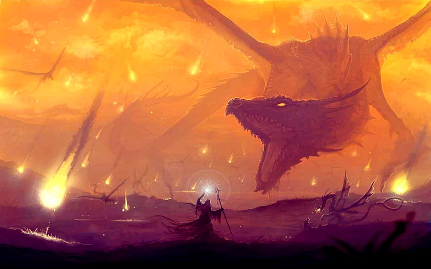 Both people in this are INSANE. All the little firedrakes are just idiots. HD wallpaper