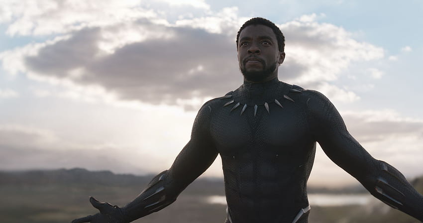 Black Panther' Has Black Audiences Nationwide Thrilled, Black Panther Superhero HD wallpaper