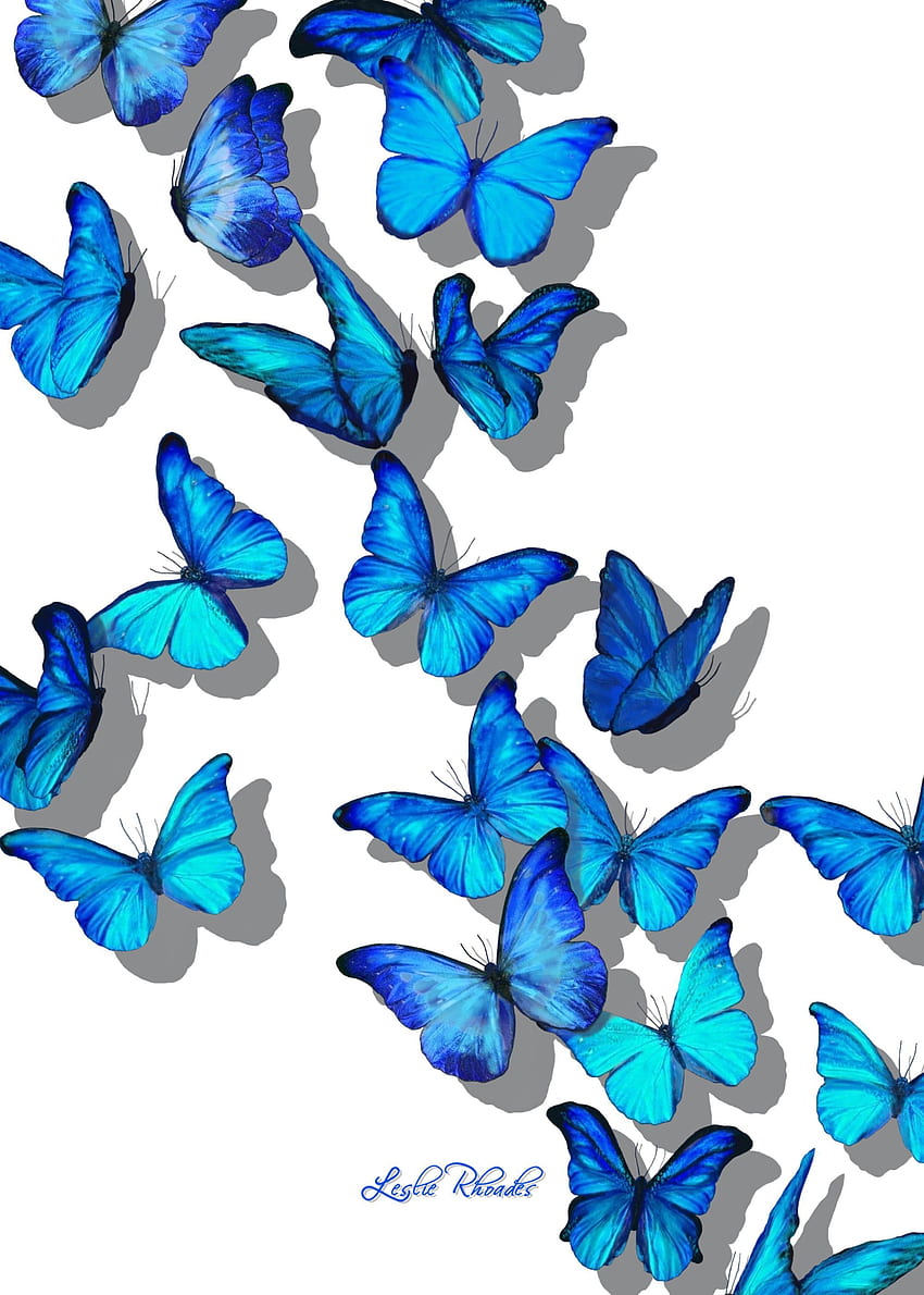 Butterfly Blanket digital artFine Art by Leslie Rhoades AKA, Yellow and Blue Butterfly HD 전화 배경 화면
