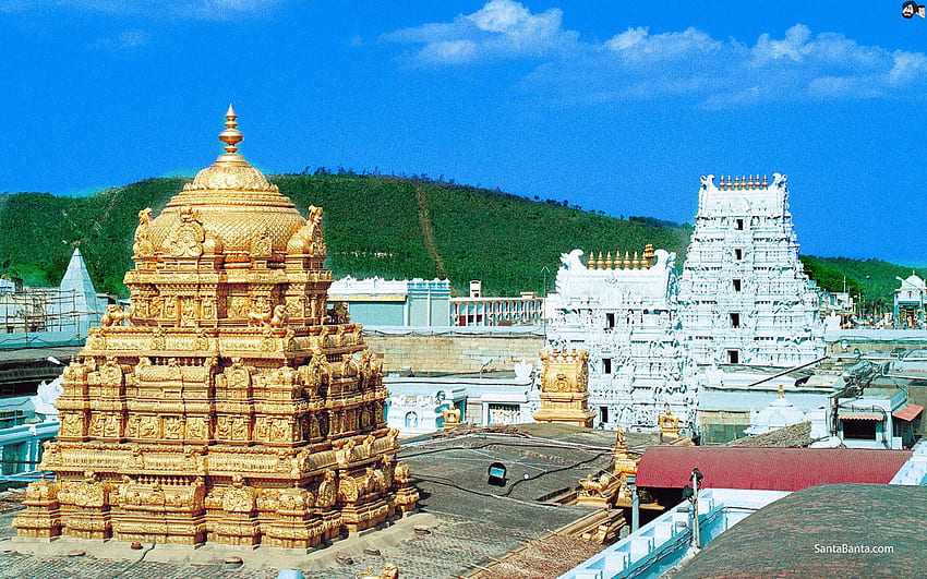 Templo Venkateswara, Tirumala Tirupati, Andhra Pradesh - Santabanta fondo de pantalla