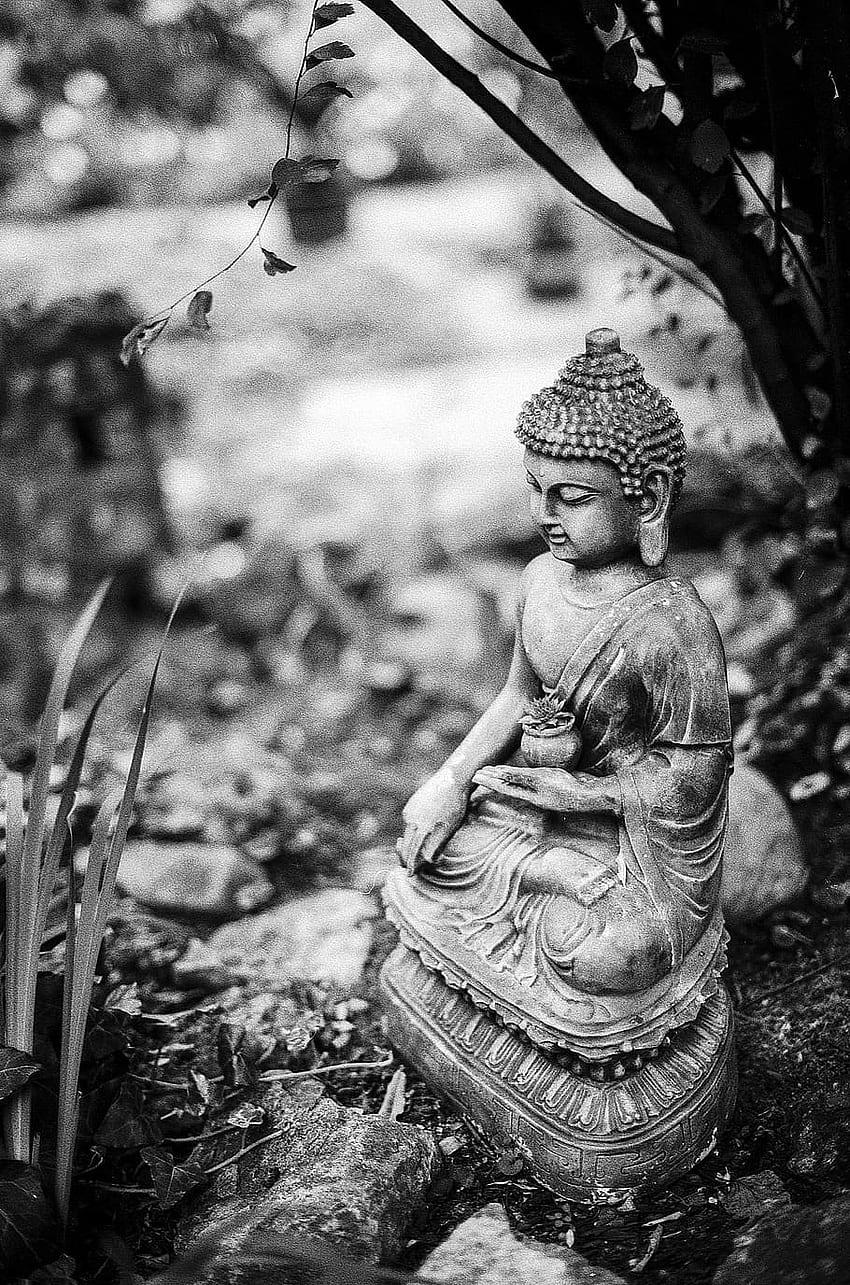 Statuetta Gautama Buddha, Statua, Calma, Zen, Buddismo -, Buddha in bianco e nero Sfondo del telefono HD