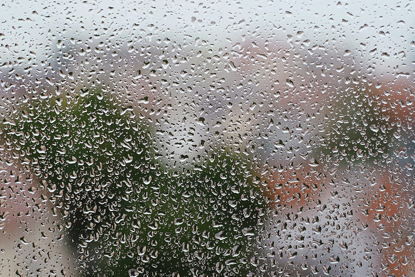 Rain, Drops, Macro, Wet, Glass, Humid HD wallpaper