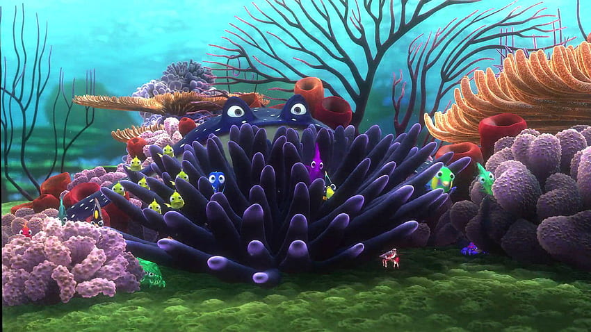 FINDING NEMO Animasyon Sualtı Deniz Okyanus Tropikal Balık Macera Aile Komedi Dram Disney 1finding Nemo . . 567526. UP, Sualtı Karikatürü HD duvar kağıdı