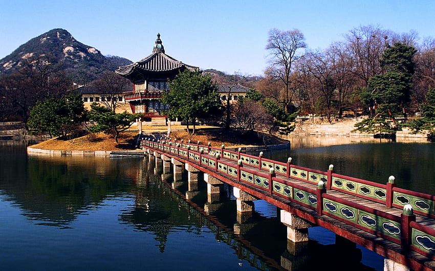 South Korea park landscape ,, Korean City HD wallpaper