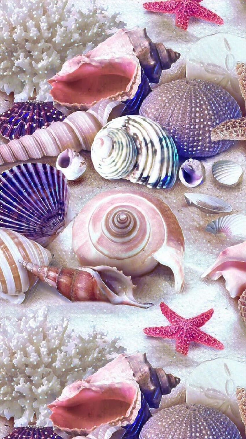 Jeannina Moya em ࿐. Verão, bela natureza, papel de parede de praia em 2021. Verão, bela natureza, praia, concha rosa Papel de parede de celular HD