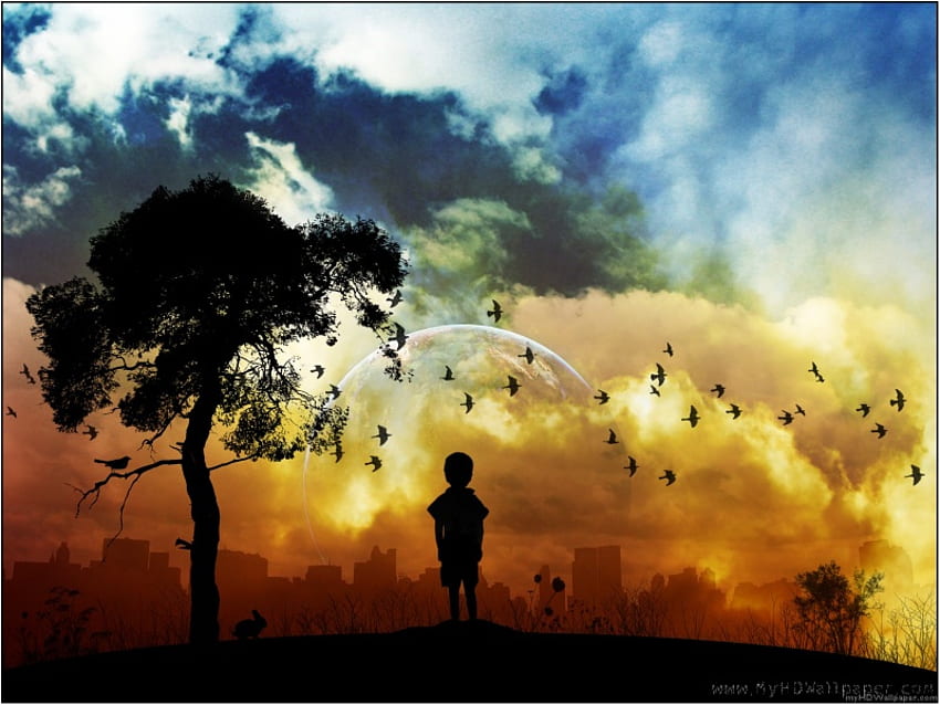 A BOY LOOKING AT CITY LIGHTS CLOUDS AND BIRDS, birds, boy, clouds, sky, tree HD wallpaper