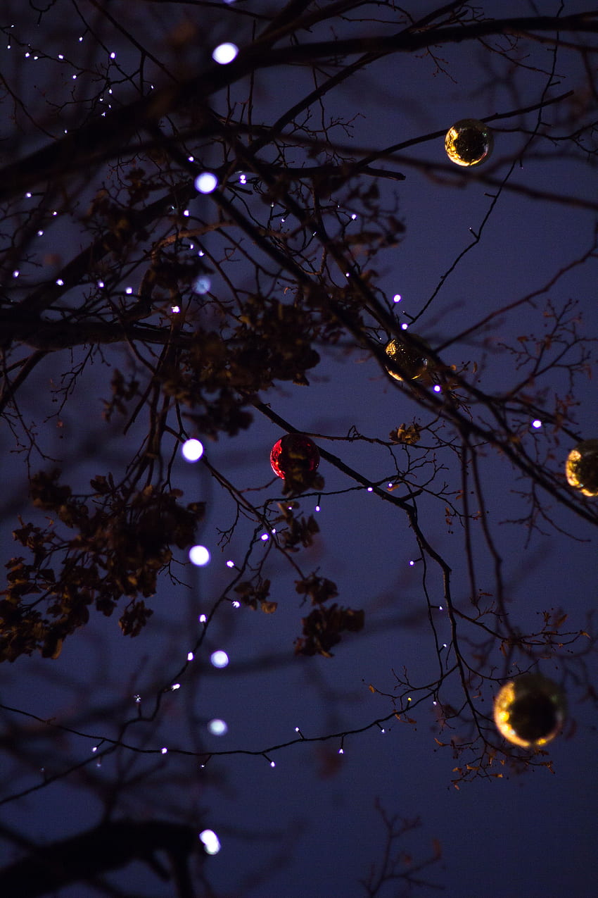 วันหยุด ปีใหม่ ส่องแสง แสง ไม้ ต้นไม้ คริสต์มาส สาขา ตกแต่งคริสต์มาส ของเล่นต้นคริสต์มาส พวงมาลัย วอลล์เปเปอร์โทรศัพท์ HD