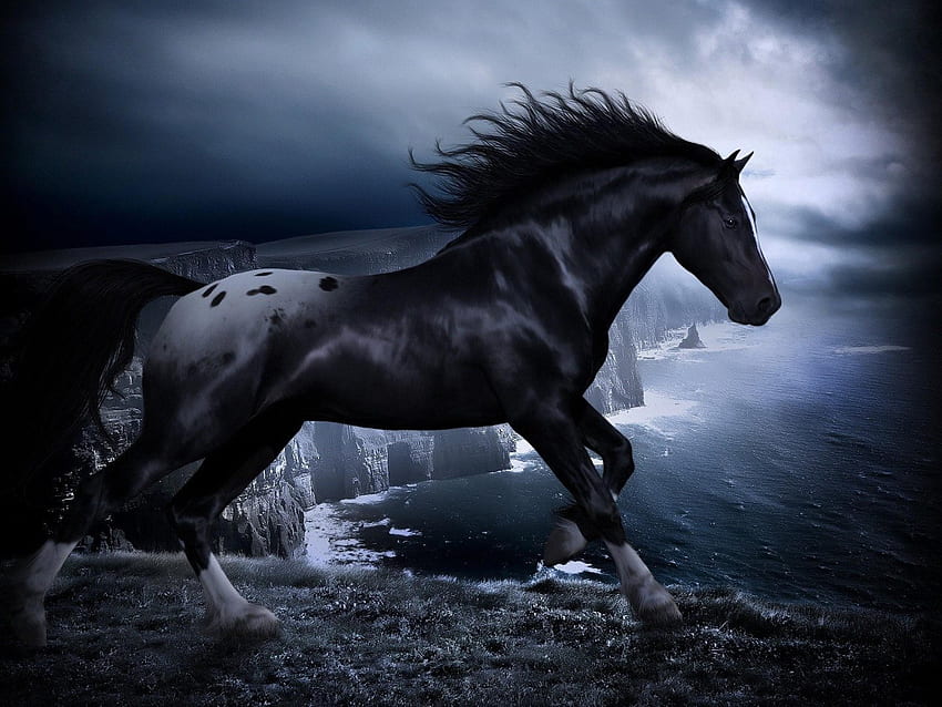 Black Horse HD wallpaper