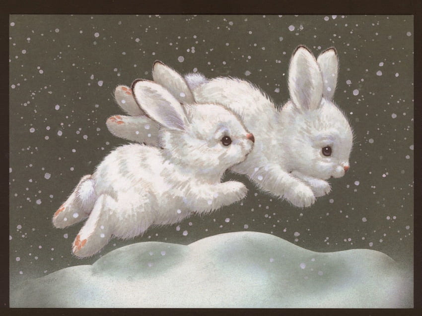 Its Winter, winter, bunny, white, snow HD wallpaper