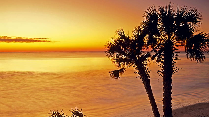 Sunrise silhouettes islands parks South Carolina sea HD wallpaper
