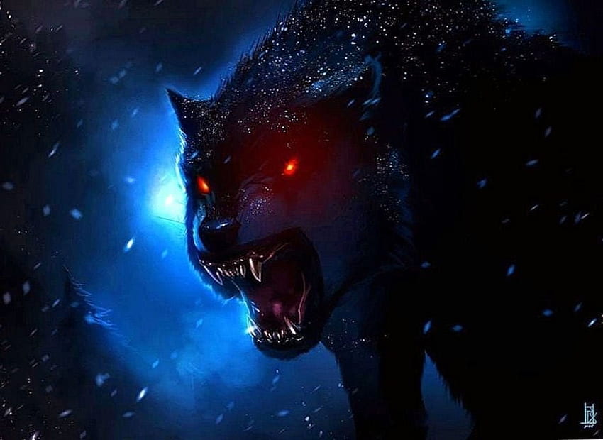 Black Wolf With Red Eyes Wolf .pro, クールな赤いオオカミ 高画質の壁紙