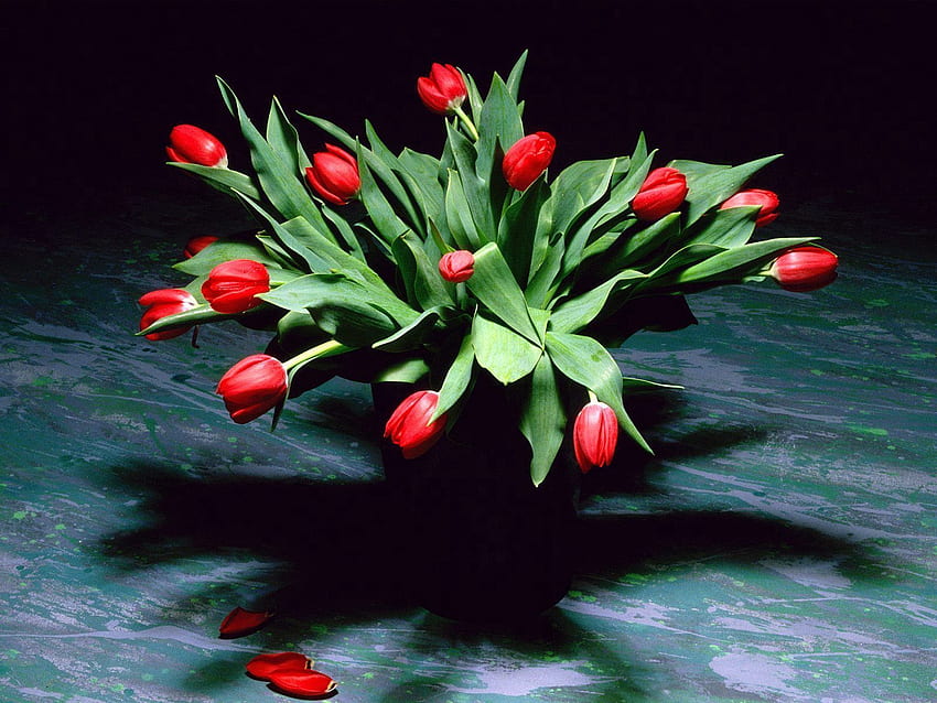 Flowers, Tulips, Petals, Bouquet, Shadow, Vase HD wallpaper