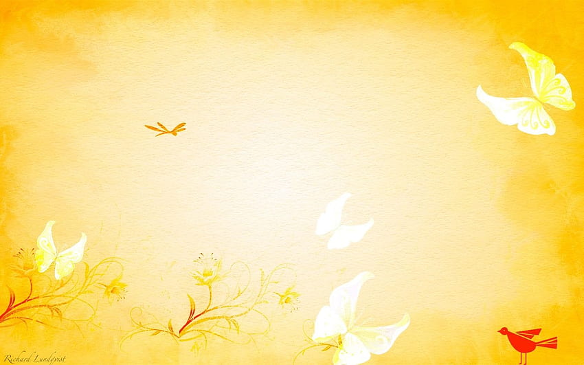 butterfly afternoon High Quality, 1440X900 Resolution HD wallpaper