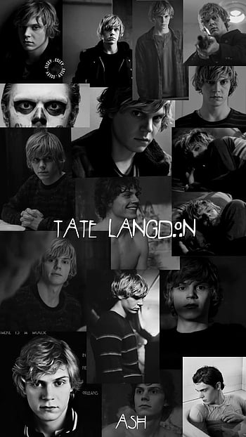 Tate langdon halloween and horror  Tate and Violet HD phone wallpaper   Pxfuel