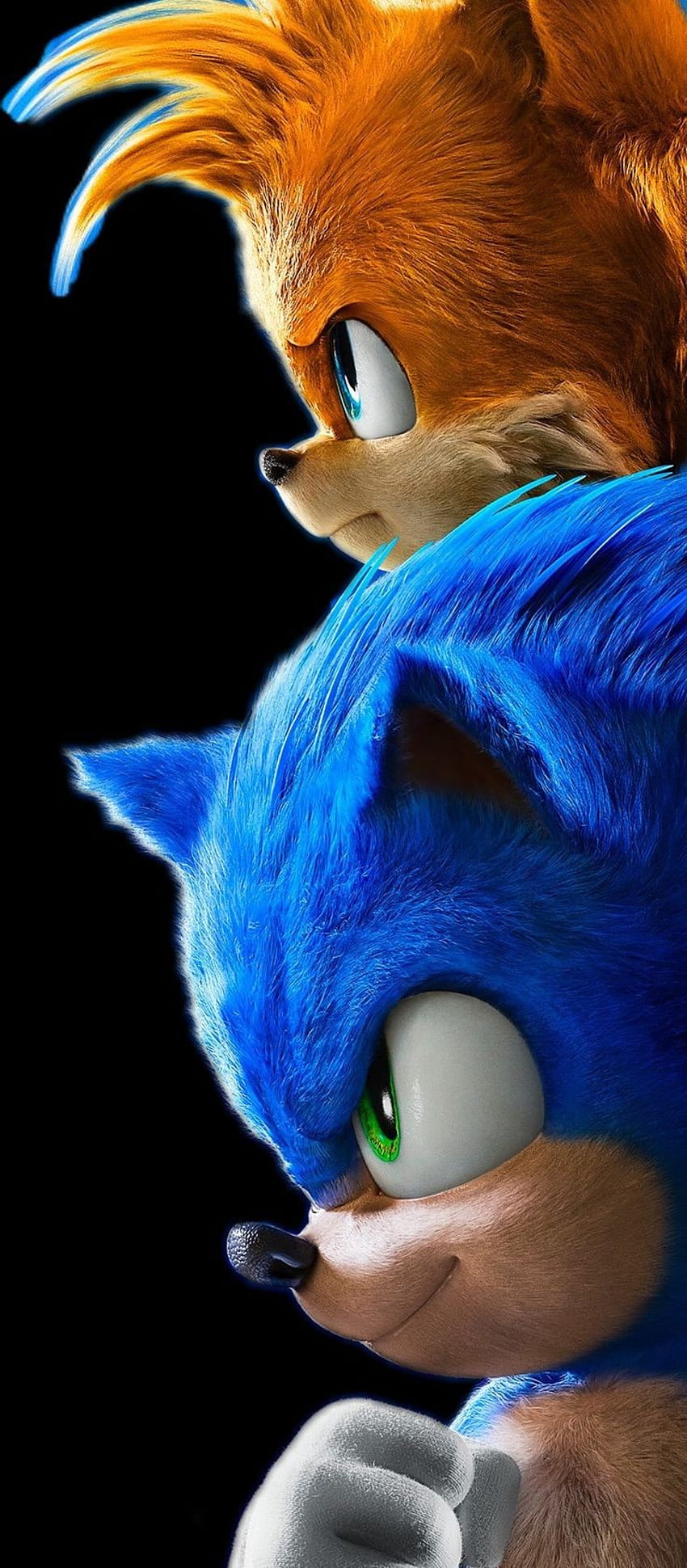 Sonic 2, nariz, cabeza fondo de pantalla del teléfono
