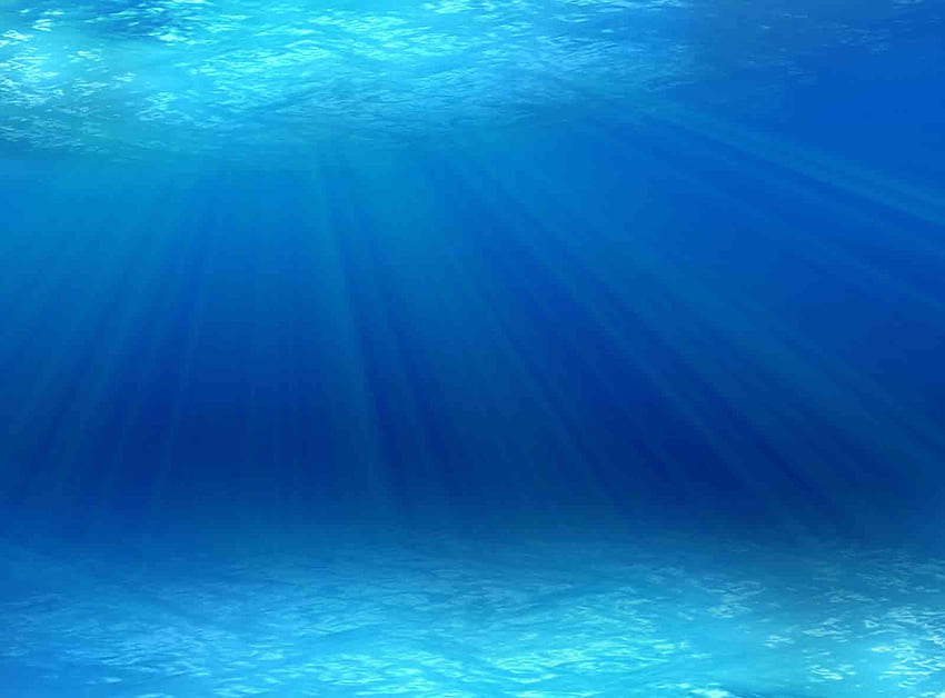 Under the Sea PowerPoint Background, Under Ocean HD wallpaper